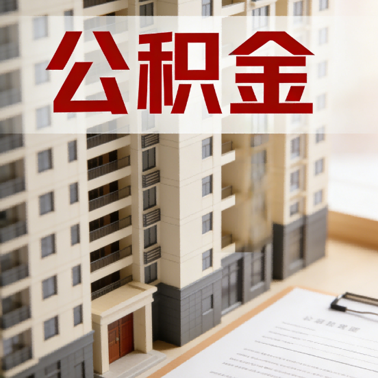 景德镇公积金代办行业新生态：从“跑腿中介”到“生活管家”的进化之路
